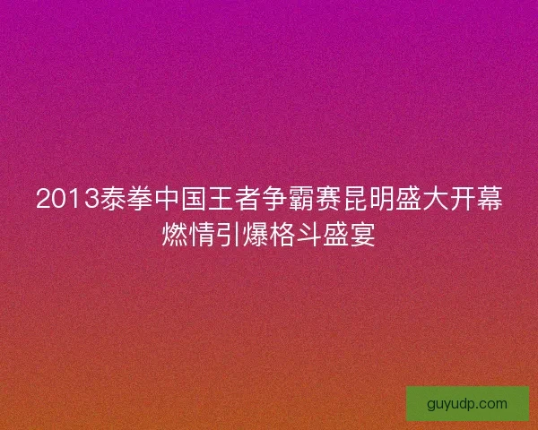 2013泰拳中国王者争霸赛昆明盛大开幕燃情引爆格斗盛宴