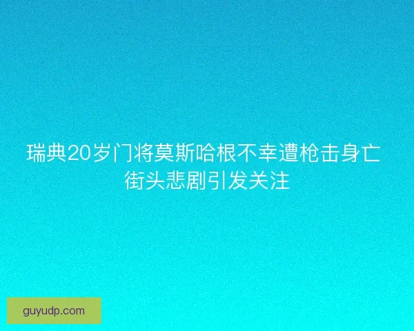 瑞典20岁门将莫斯哈根不幸遭枪击身亡 街头悲剧引发关注 瑞典20岁门将莫斯哈根不幸遭枪击身亡 街头悲剧引发关注